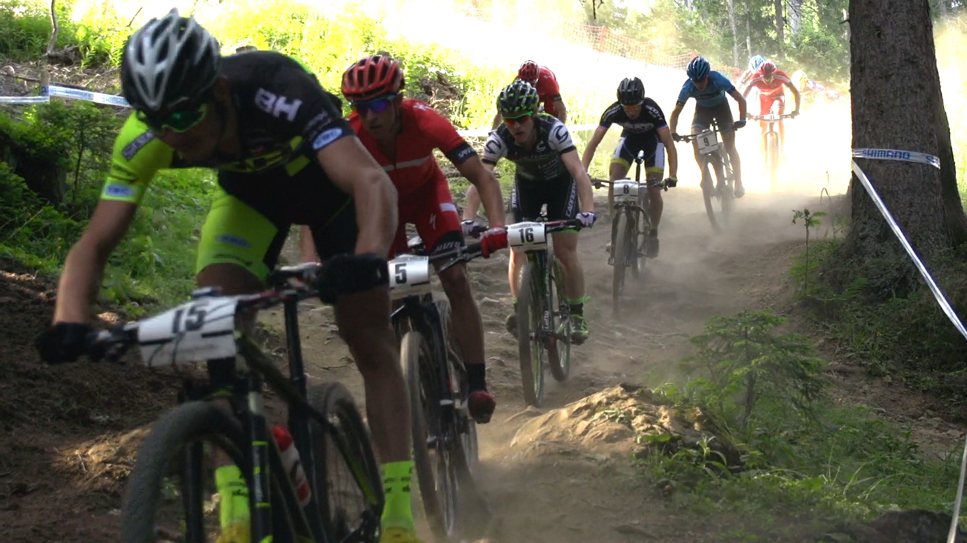 A tight pack of cross country mountain bikers races down a dusty forest trail.