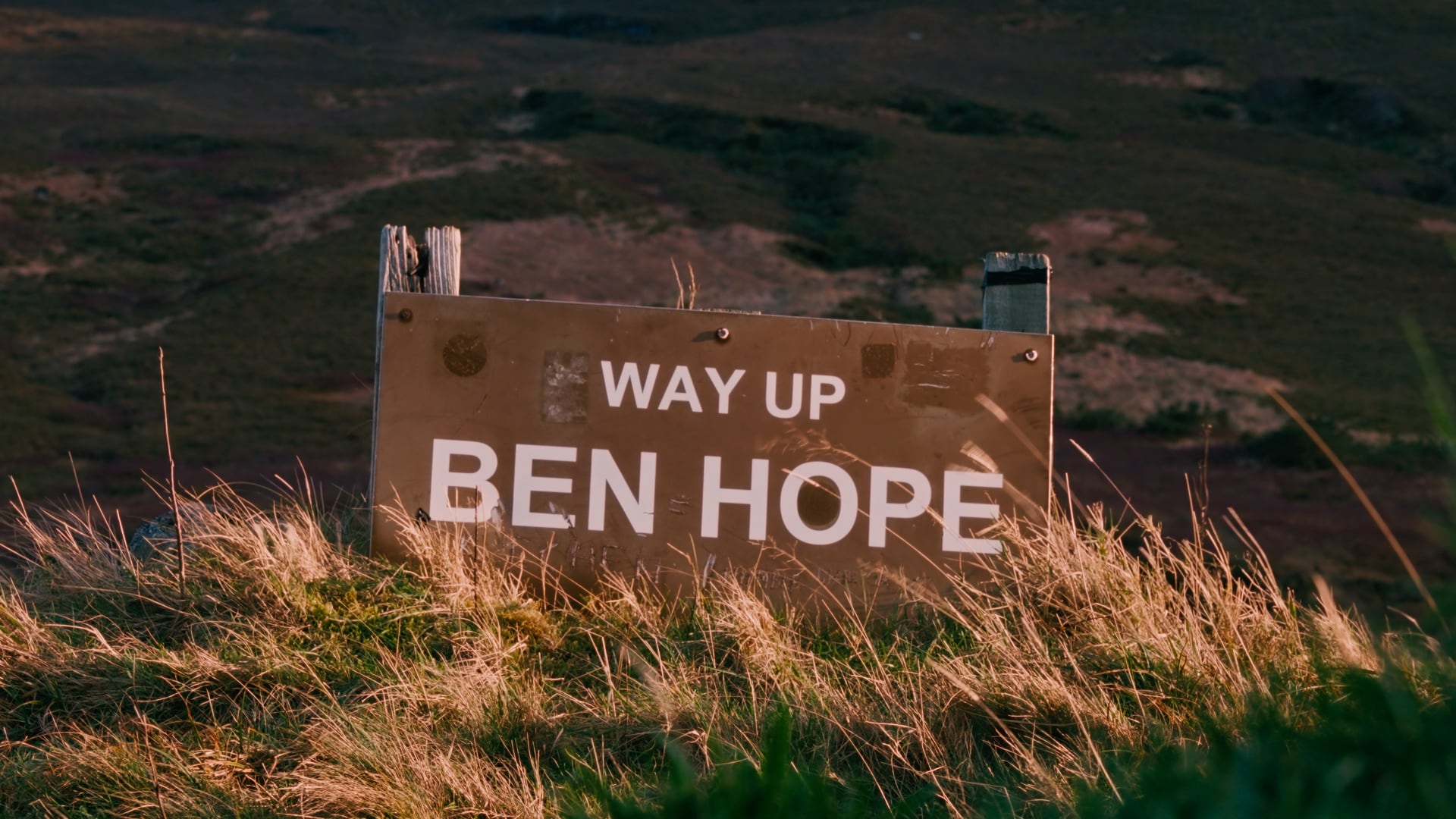 A weathered wooden sign reading Way Up Ben Hope, standing in long grass on the open hillside.